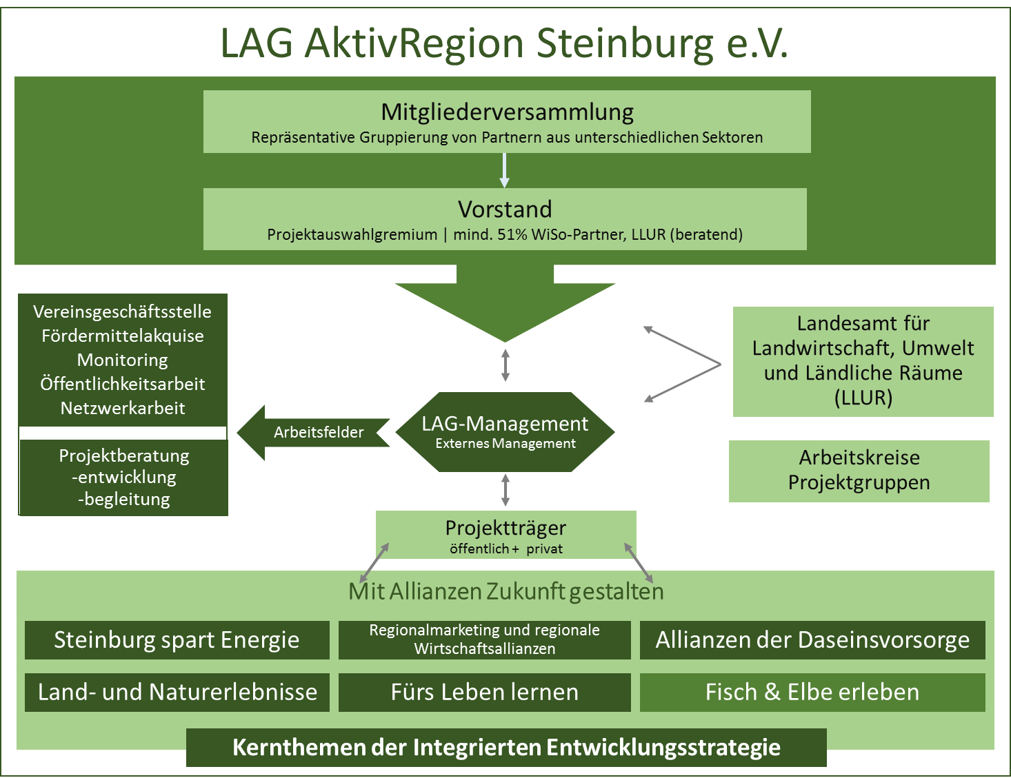 Organigramm LAG AktivRegion Steinburg